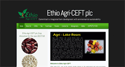 Desktop Screenshot of ethioagriceft.com